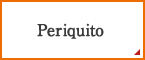 Periquito