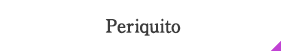 Periquito